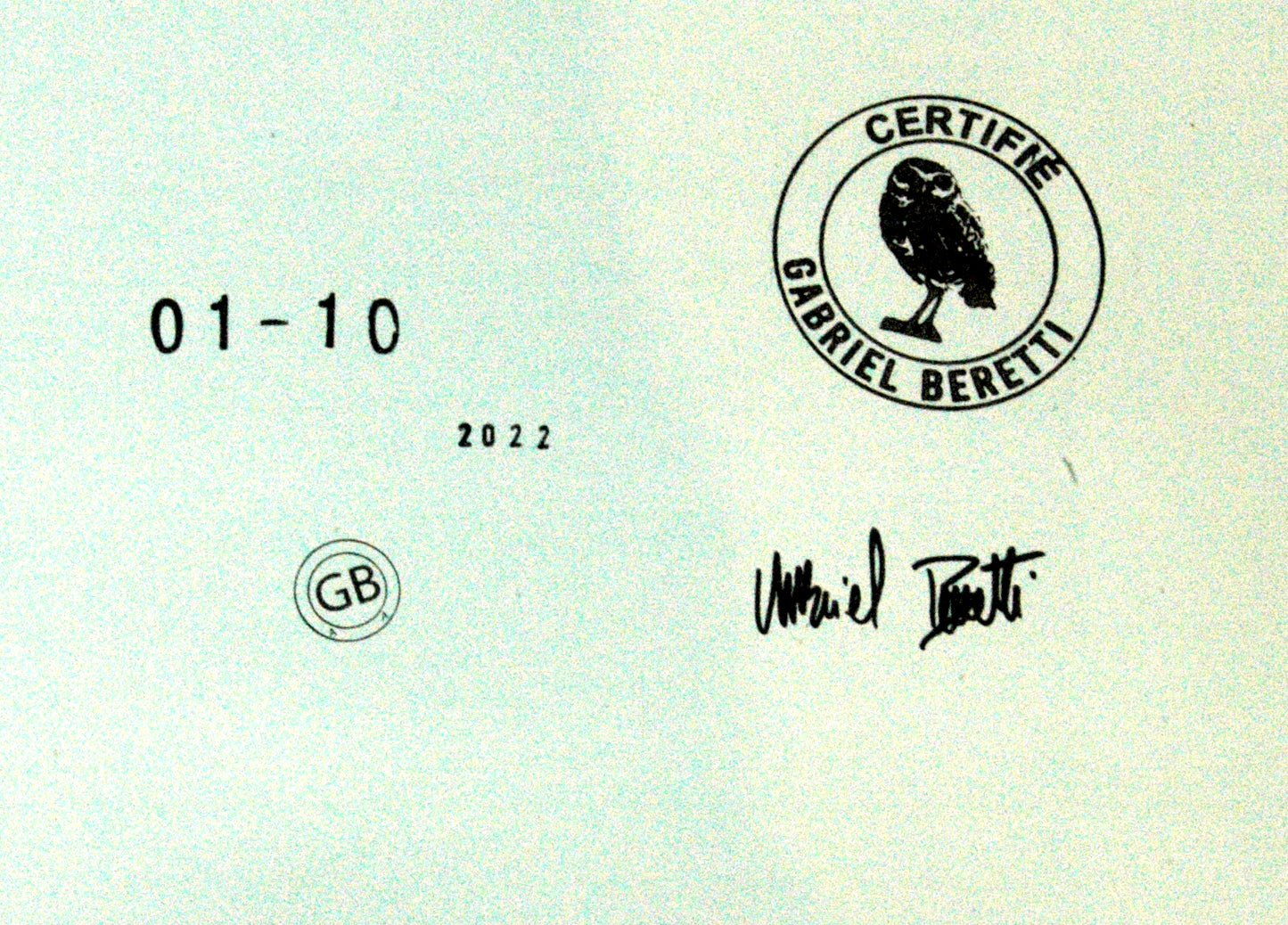 Tableau Liberty Liberty aluminium brossé édition bleue