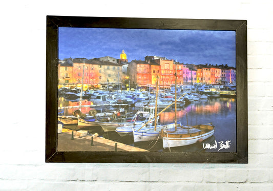 Tableau Je peins, j' immortalise le quai Frédéric Mistral